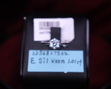 E SI1 VXXN 1.01